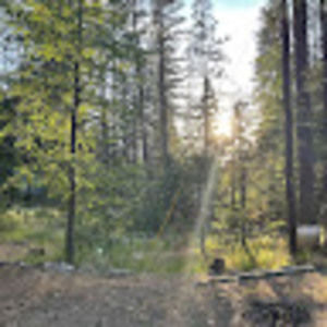 Meet your Posher, Lexie